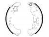 Brake Shoe Set:44 0A 080 42R